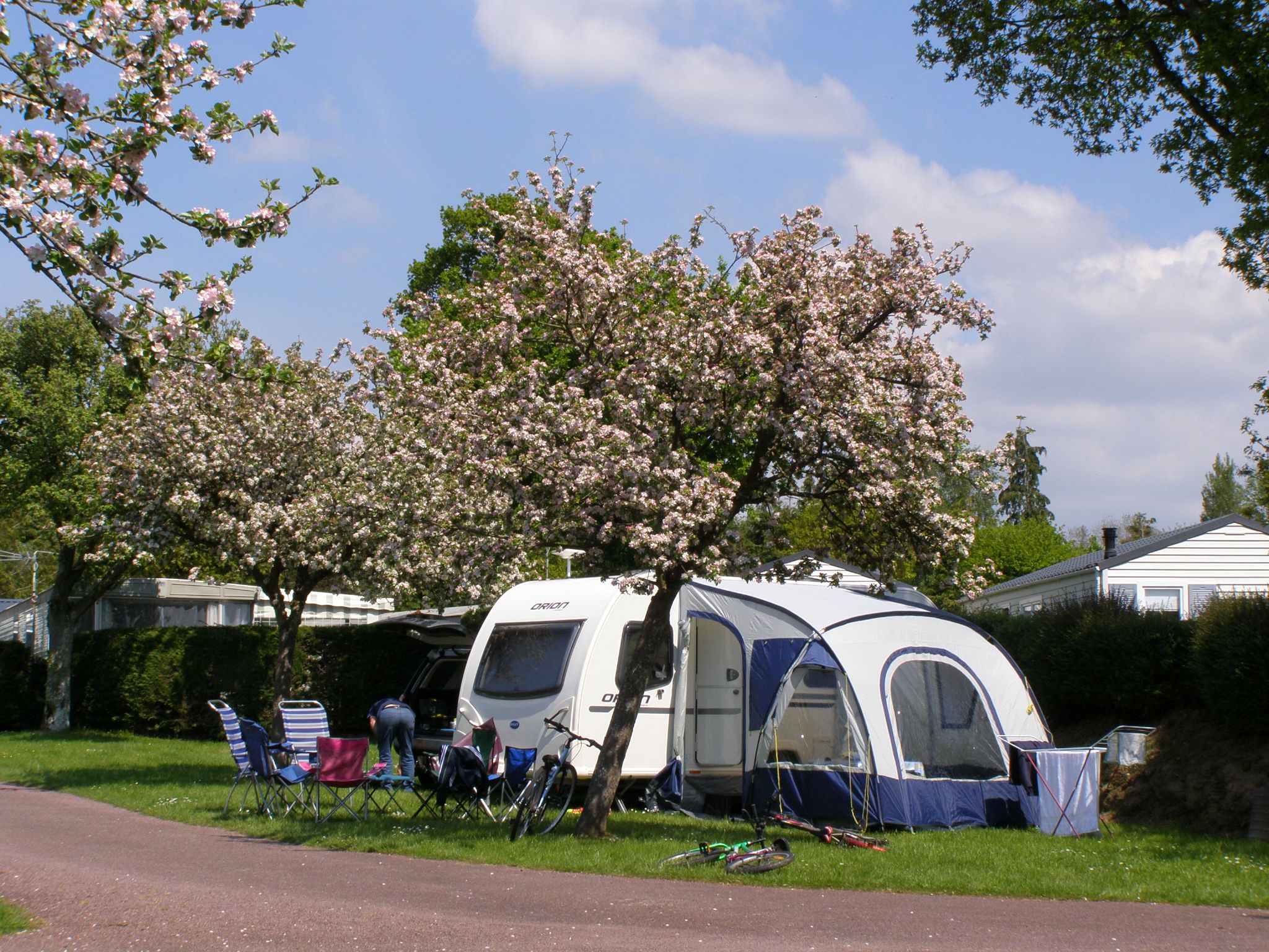 nature camping pitch